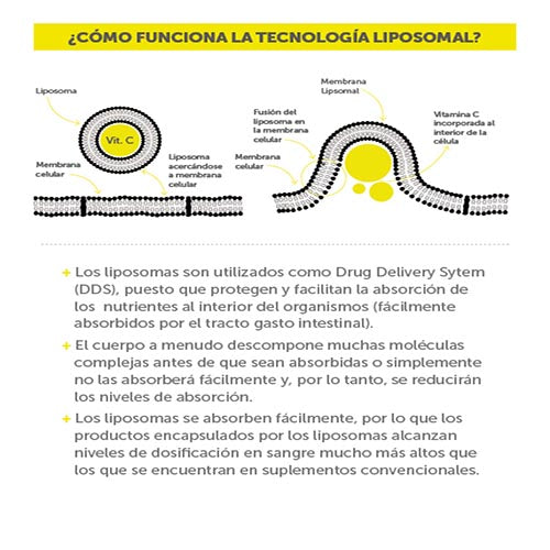 3 x Vitamina C Liposomal, 3 x 90 capsulas, wellplus
