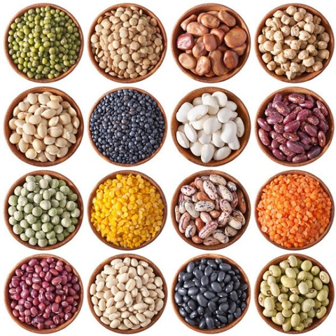 LEGUMBRES Y GRANOS