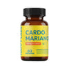 Cardo Mariano | 60 Cápsulas