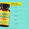Cardo Mariano | 60 Cápsulas