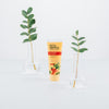 Tubo de pasta dental infantil Ecodenta sabor frutilla entre plantas
