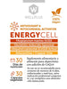 Energy Cell, 30 cap