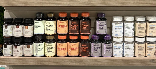 Repisa de hongos en Be Free Espacio M: Reishi, Melena de León, Cordyceps y Turkey Tail