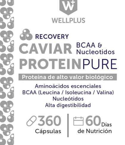 Caviar Protein Pure, 360 capsulas, wellplus