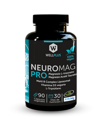 Neuromag Pro Magnesio L Treonato, 90 capsulas, wellplus
